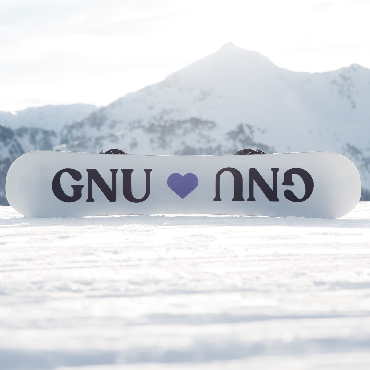 GNU ladies choice bottom