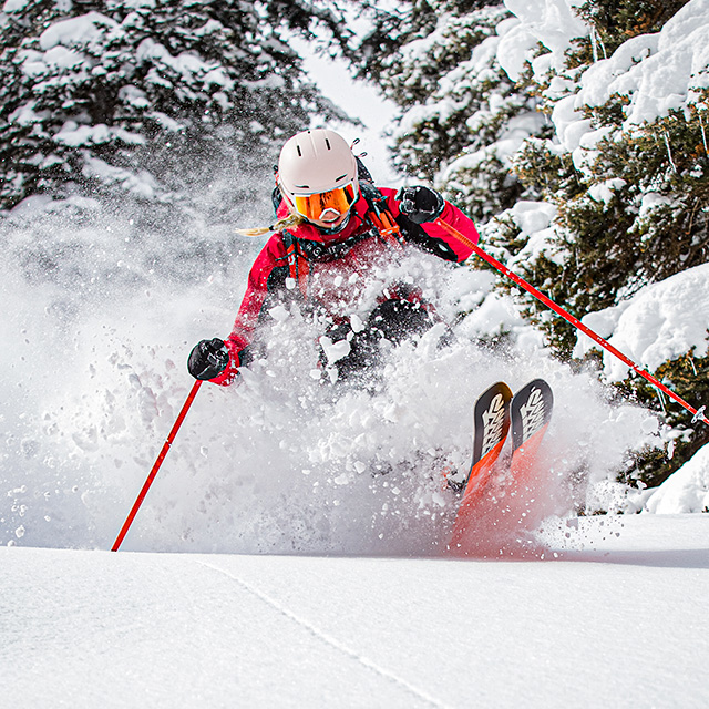 Powder ski picture